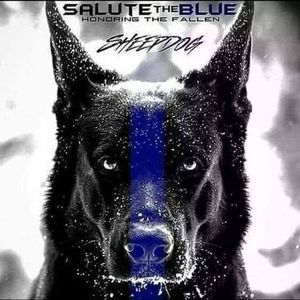 Meet your Posher, Dennis